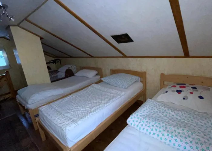 Tatil Evi дідова хата
